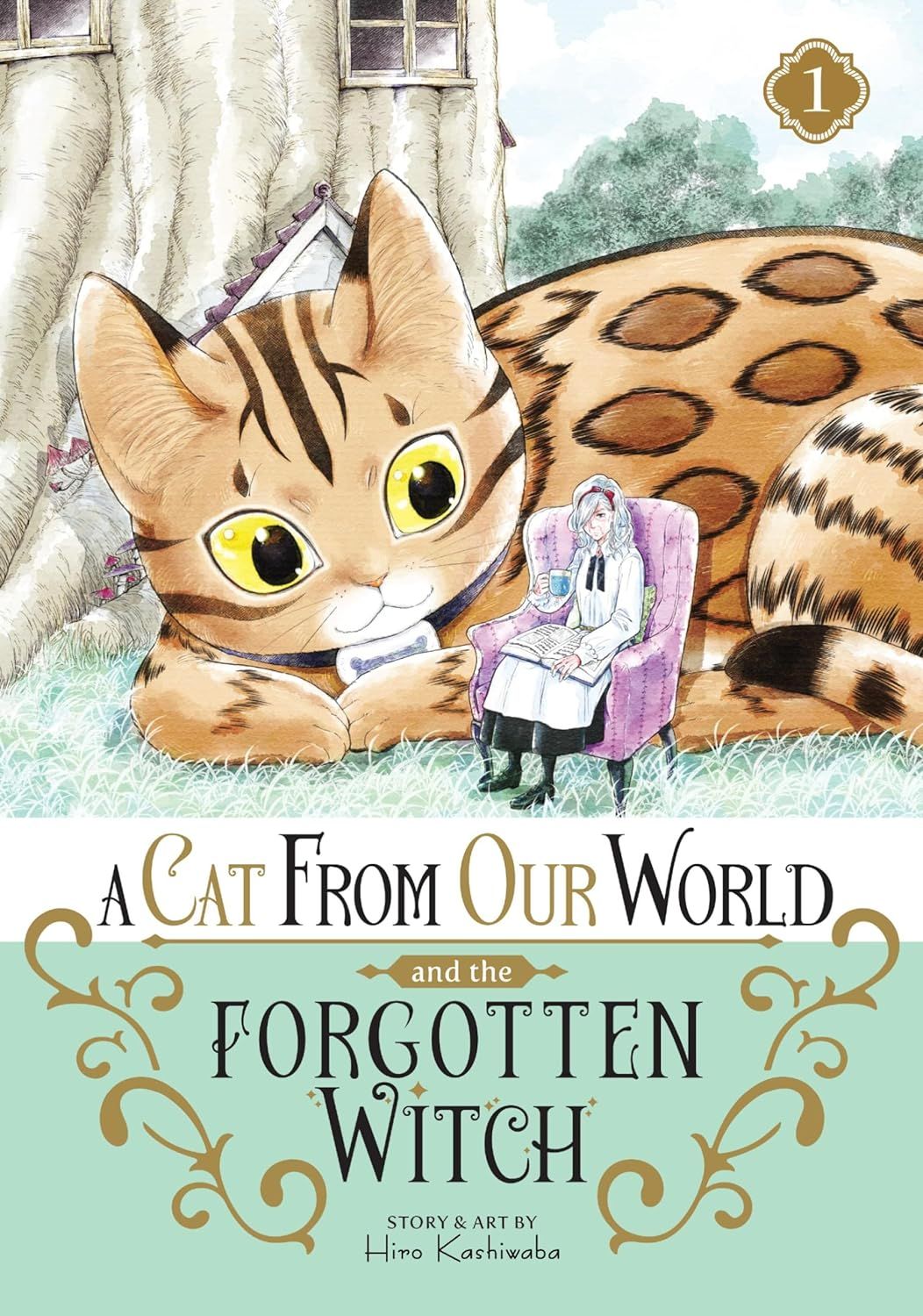 A Cat From Our World and the Forgotten Witch by Hiro Kashiwaba cover