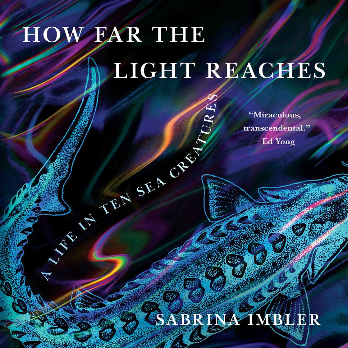 audiobook cover of How Far the Light Reaches: A Life in Ten Sea Creatures by Sabrina Imbler