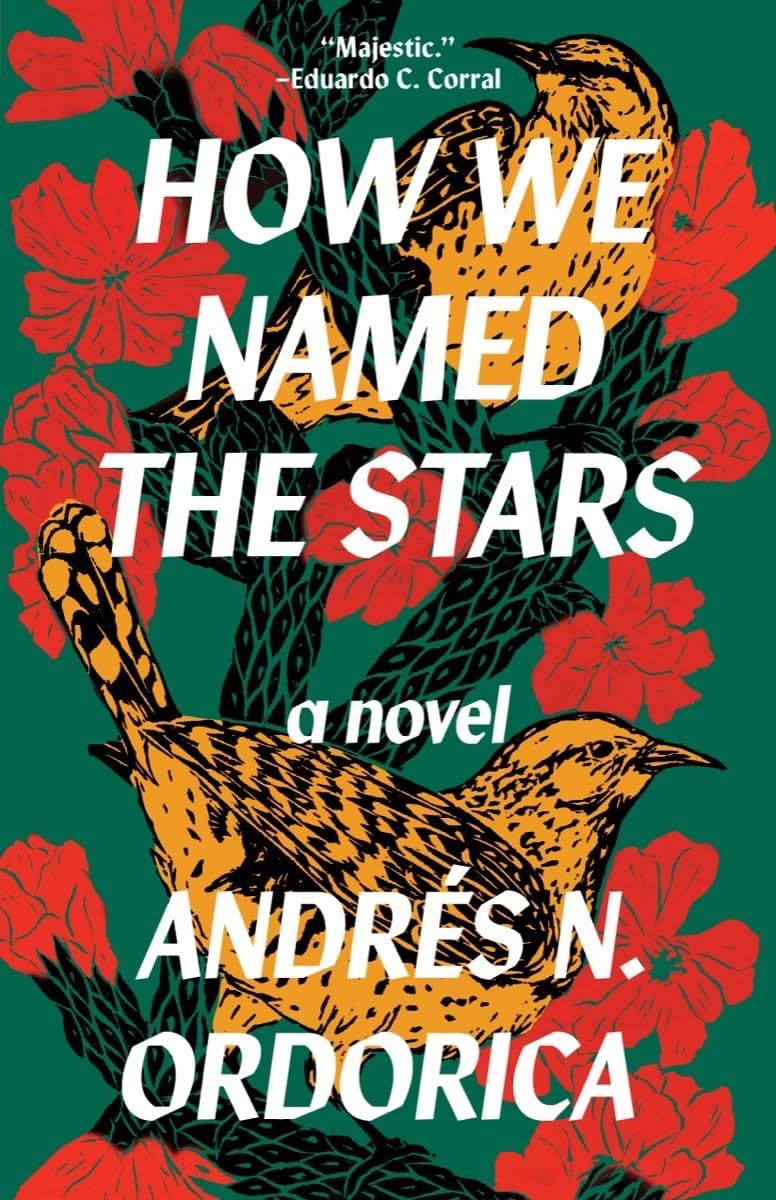 cover of How We Named the Stars by Andrés N. Ordorica