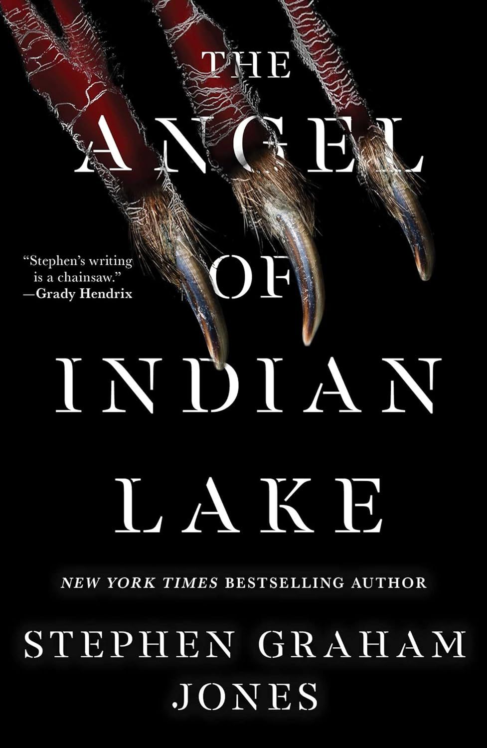 book cover of the angel of indian lake