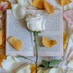 an open book with a rose and rose petals strewn about it