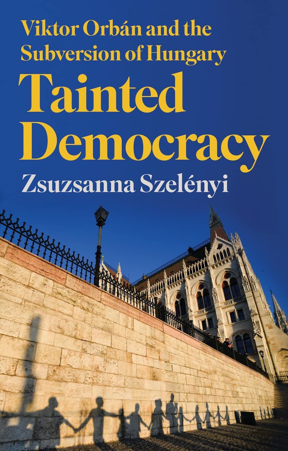 tainted democracy cover