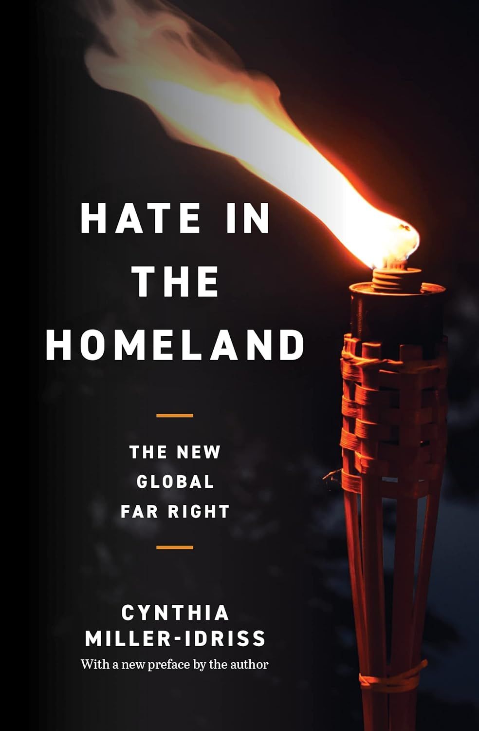the cover of Hate in the Homeland