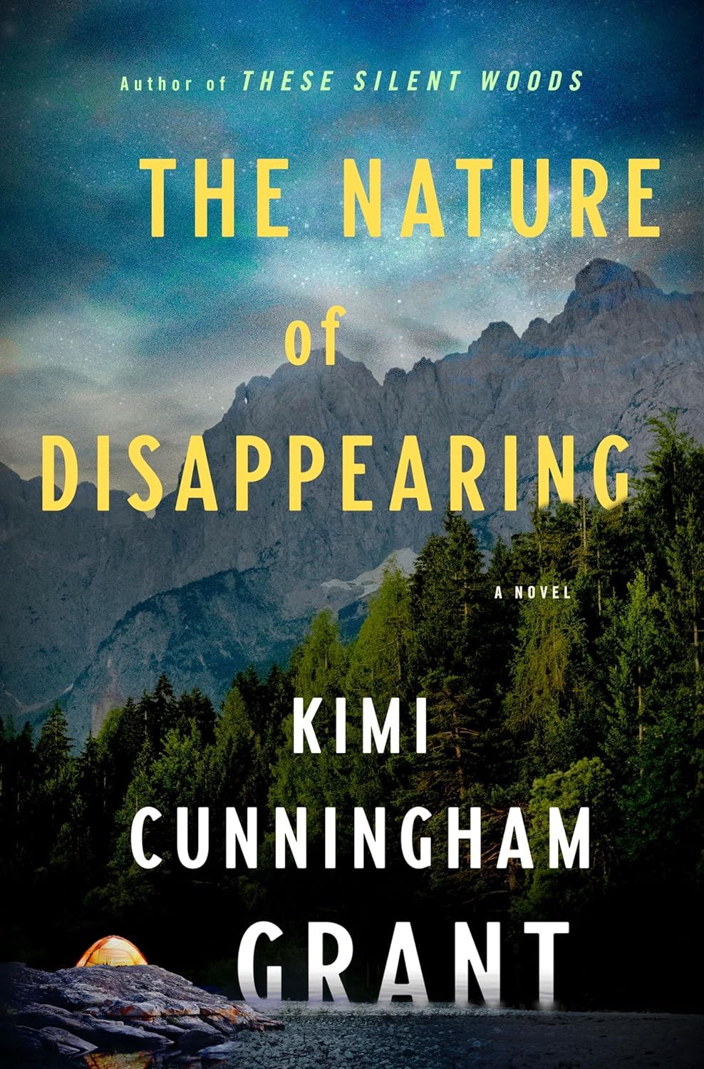 cover image for The Nature of Disappearing