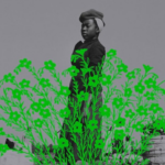 a cropped cover of Rooted, showing an illustration of green flowers overlaid on a black-and-white photo of Black people outdoors
