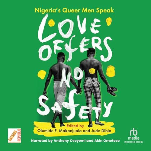 Love Offers No Safety audiobook cover