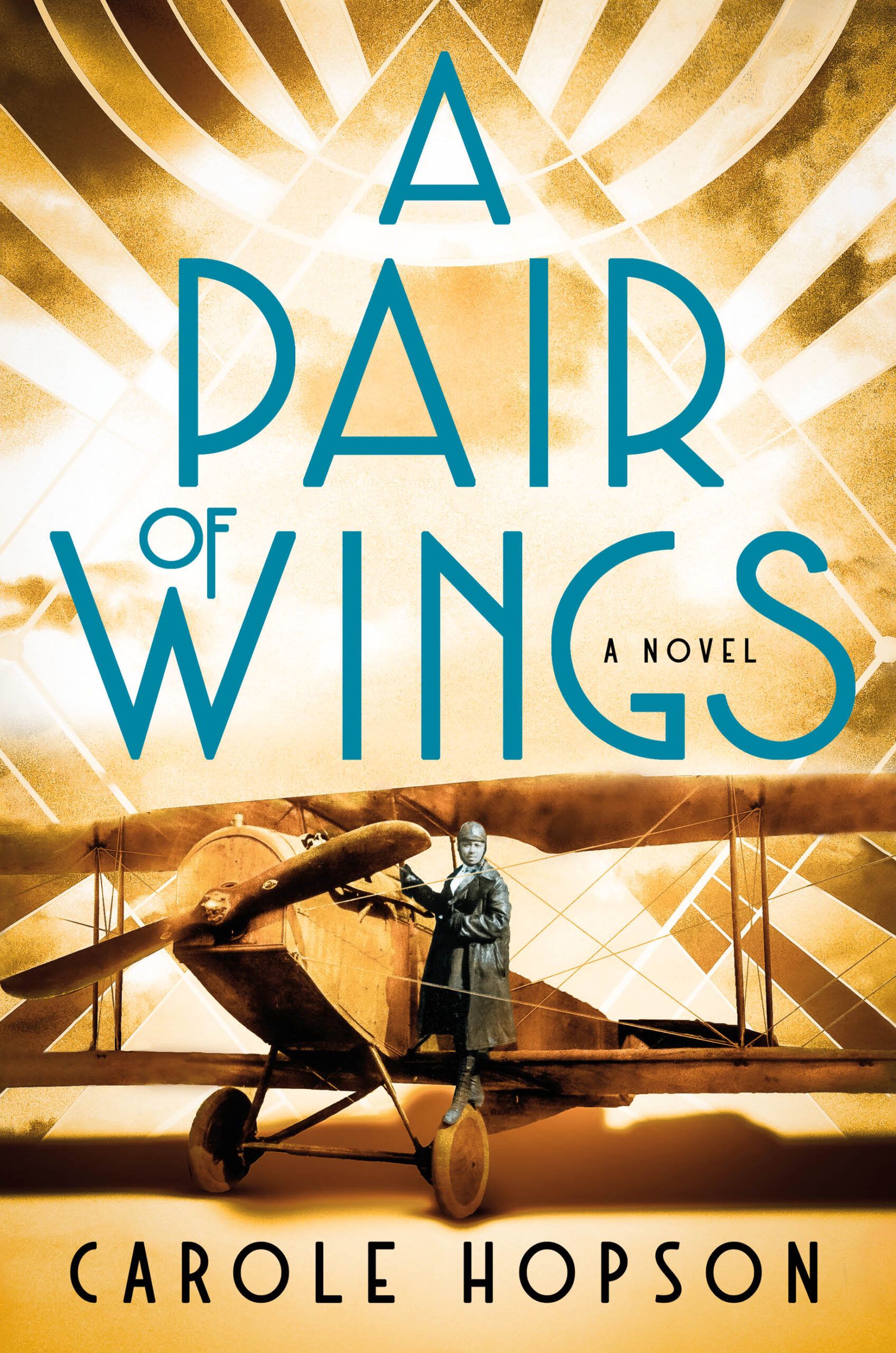 cover of A Pair of Wings by Carole Hopson