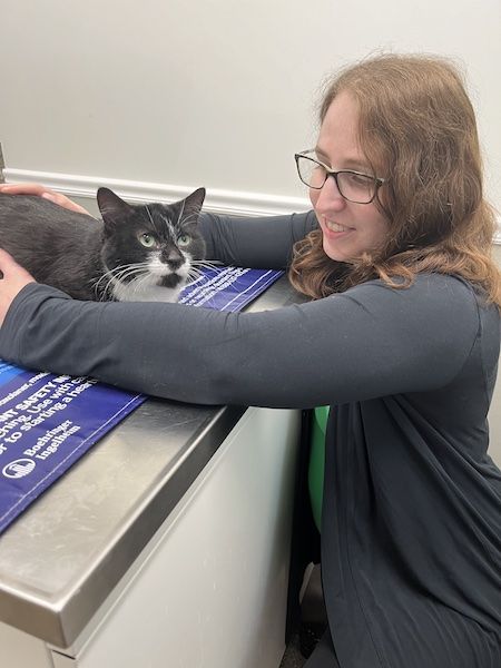 a woman kneeling next to a cat sitting on an examination table at the vet