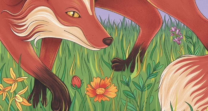 cropped cover of And, Too, the Fox, a picture book by Ada Limon with illustrations by Gaby D'Alessandro. the cropped section is an illustration of a red fox in a field of grass and flowers