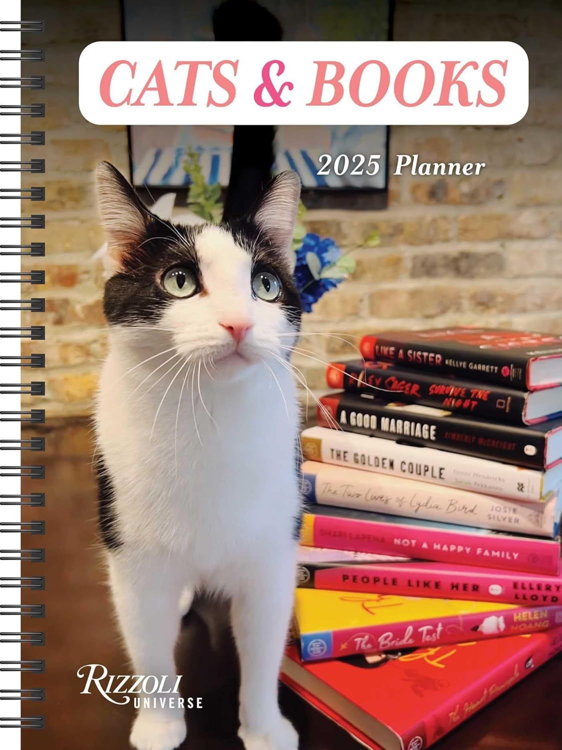 cats and books planner cover