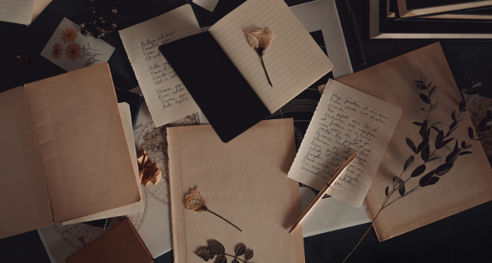 an array of open books, pages, and dried flowers