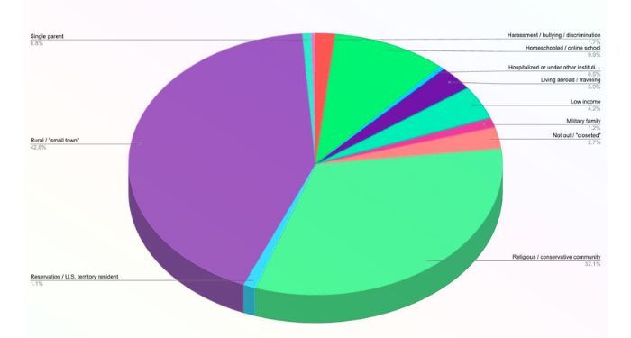 pie chart showcasing why teens were signing up for a BPL card.