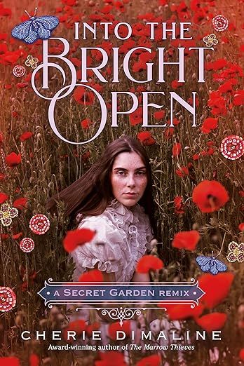 into the bright open book cover